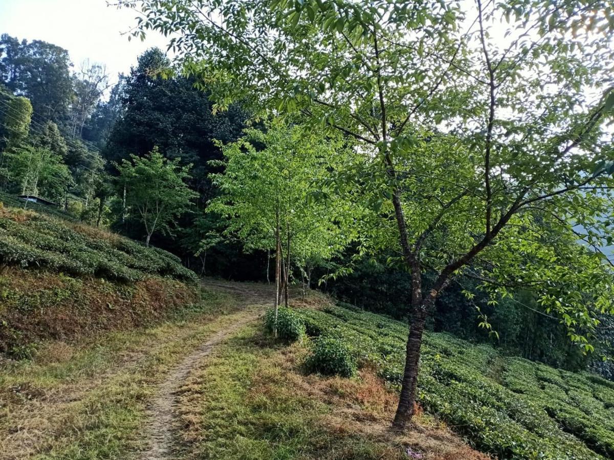 Joe'S Farm Villa Darjeeling  Esterno foto