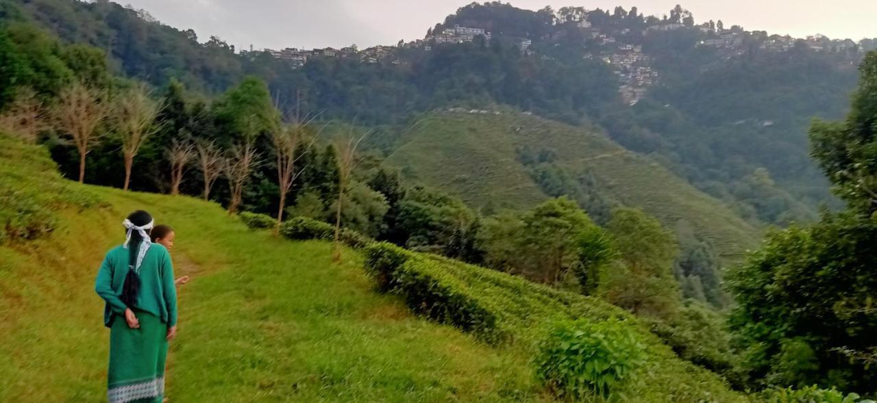 Joe'S Farm Villa Darjeeling  Esterno foto